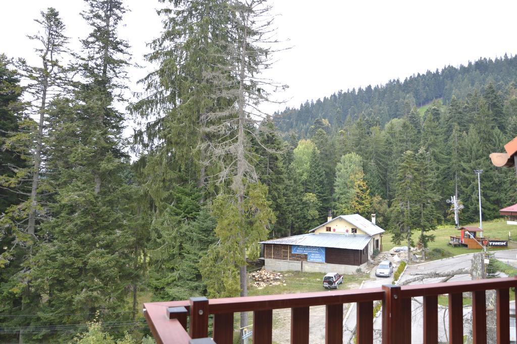 Persey Flora Apartments Borovec Kültér fotó