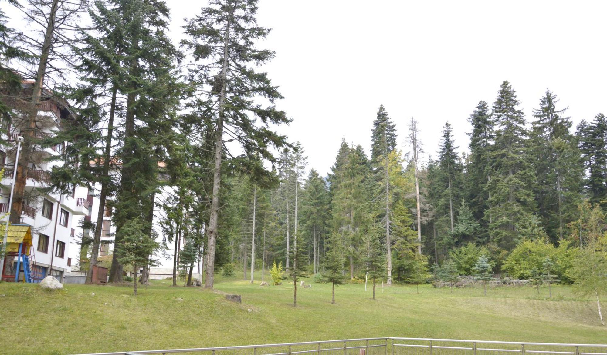 Persey Flora Apartments Borovec Kültér fotó